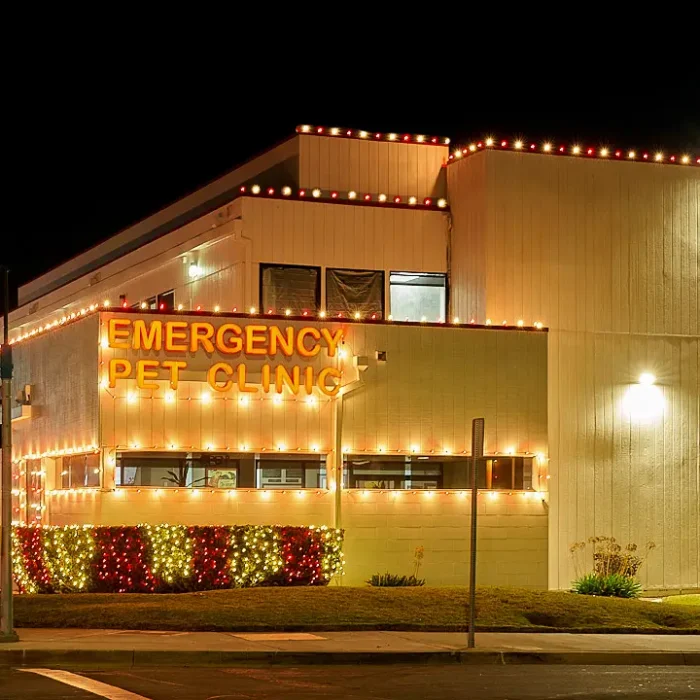 EditedOptimalLighting_SYD02789_HDR