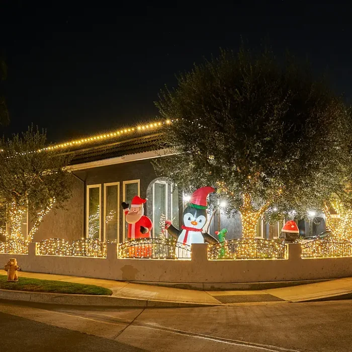 OptimalLighting_SYD02450_HDR 1