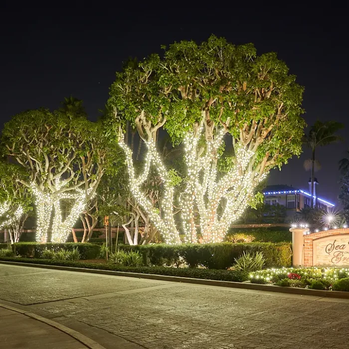 OptimalLighting_SYD02477_HDR