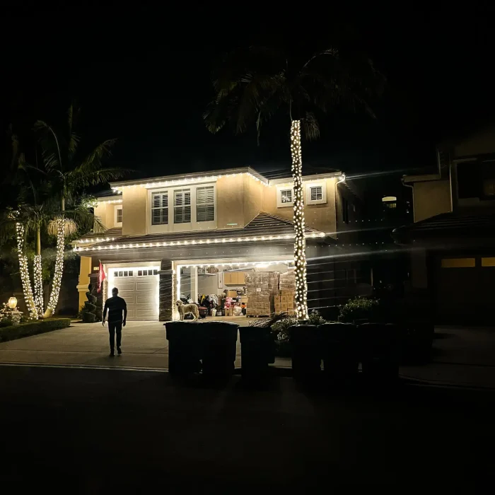 edited(palm tree) PW